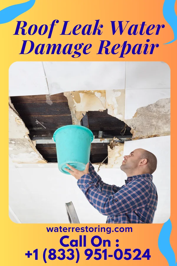 Roof Leak Water Damage Repair in Lindsborg, KS